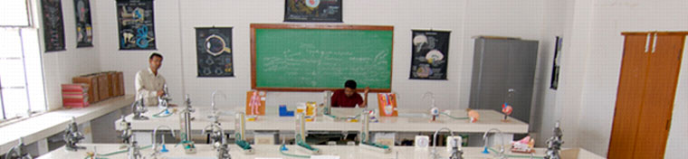 Safa College of Pharmacy