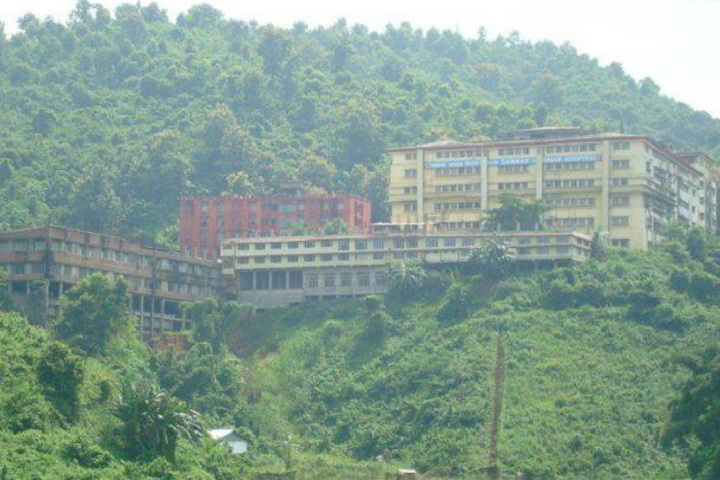  Faculty of Pharmaceutical Science Assam down town University